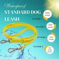Load image into Gallery viewer, PVC Leash (Yellow)