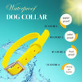 Load image into Gallery viewer, Dog collar (Yellow)