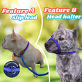 Load image into Gallery viewer, Slip Leads Dog Training Leash (Purple and Blue)