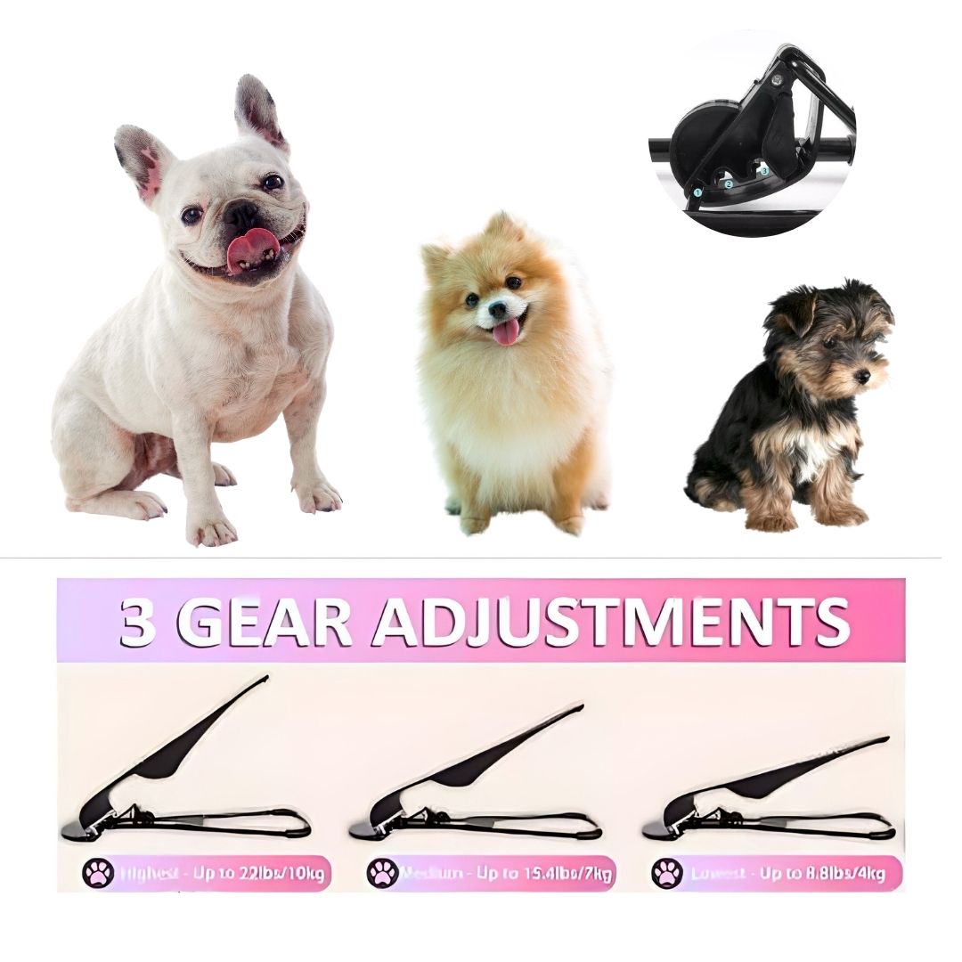 Portable Rocking Bed for Pets – Soothing, Stylish, and Washable