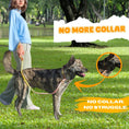 Load image into Gallery viewer, Slip Leads Dog Training Leash (Pink and Yellow)