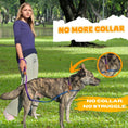 Load image into Gallery viewer, Slip Leads Dog Training Leash (Purple and Blue)