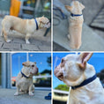 Load image into Gallery viewer, Dog collar (Blue)