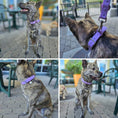 Load image into Gallery viewer, Dog collar (Purple)