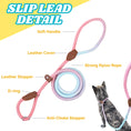 Load image into Gallery viewer, Slip lead for dog (Pink and Blue)