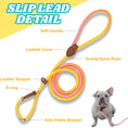 Load image into Gallery viewer, Slip Leads Dog Training Leash (Pink and Yellow)