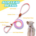 Load image into Gallery viewer, Slip Leads Dog Training Leash (Pink and Purple)