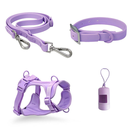 Best Dog Walking Accessories for Active Pet Owners | Bee N Buu