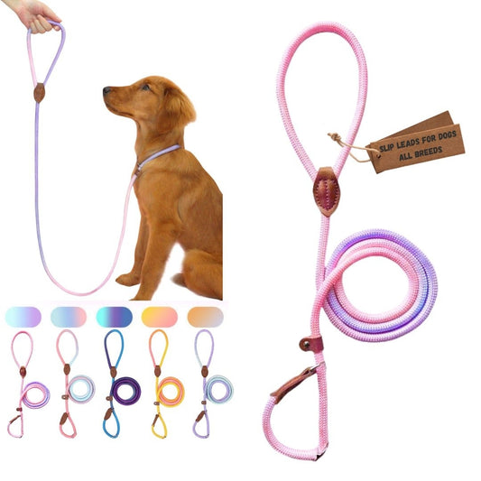 Trainer-approved no-pull dog leash – stylish and durable (Pink and Purple)