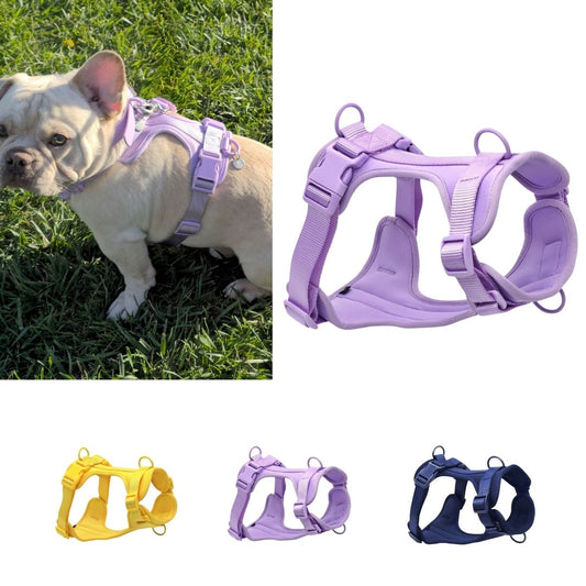 Dog harness with front clip for training and control (purple)