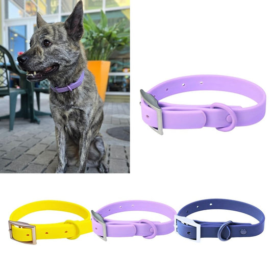 Odorless dog collar with rust-proof hardware (Purple)