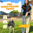 Load image into Gallery viewer, Slip Leads Dog Training Leash (Pink and Purple)
