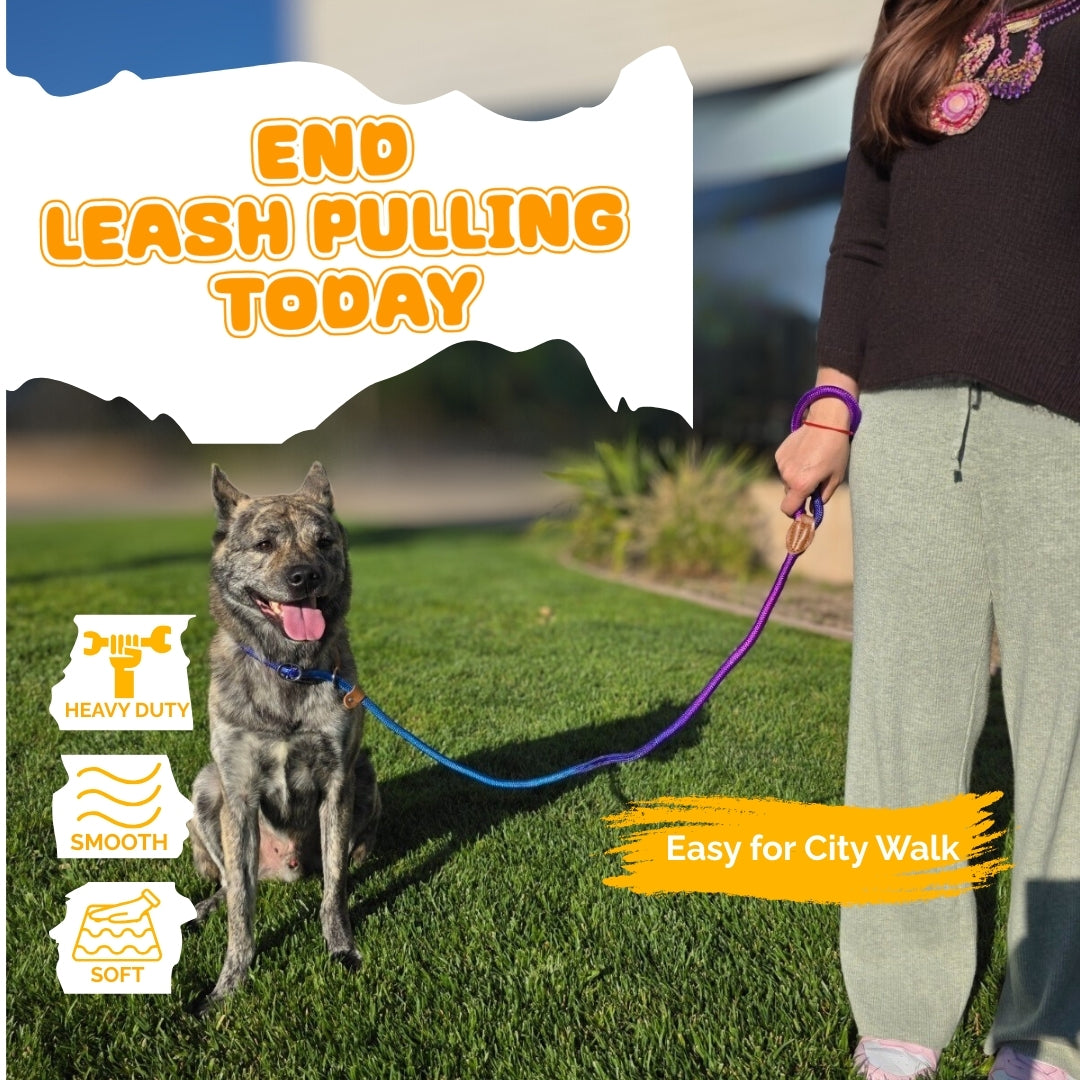 Slip Leads Dog Training Leash (Purple and Blue)
