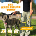 Load image into Gallery viewer, Slip Leads Dog Training Leash (Pink & Yellow)

