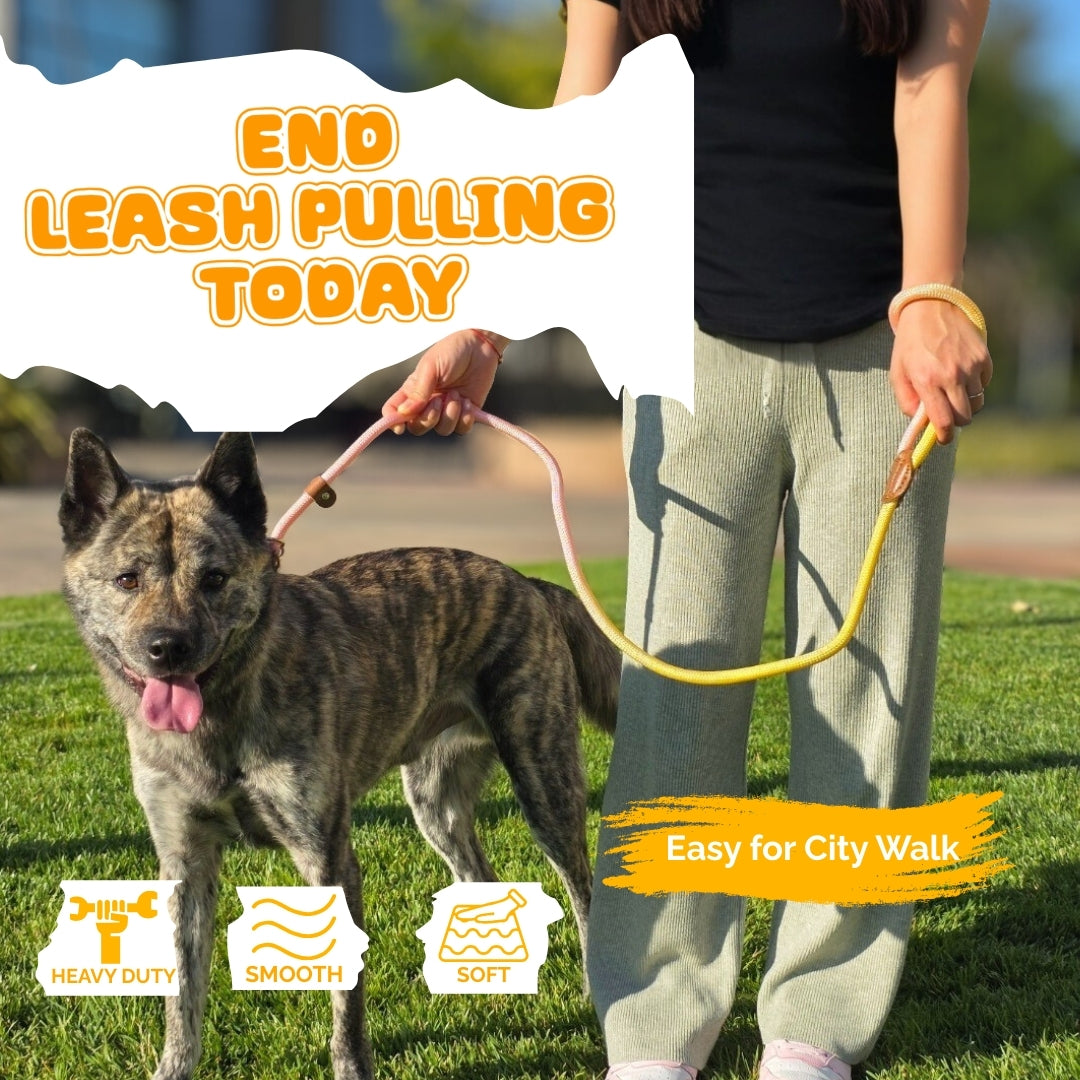 Slip Leads Dog Training Leash (Pink & Yellow)
