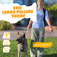 Load image into Gallery viewer, Slip Leads Dog Training Leash (Purple and Green)
