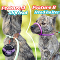 Load image into Gallery viewer, Slip Leads Dog Training Leash (Purple and Green)
