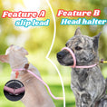Load image into Gallery viewer, Slip Leads Dog Training Leash (Pink & Yellow)
