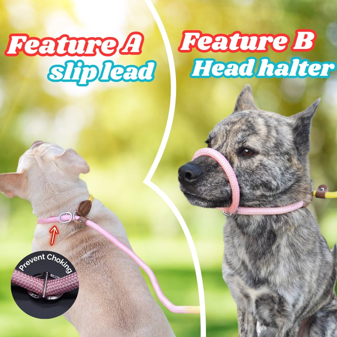 Slip Leads Dog Training Leash (Pink & Yellow)