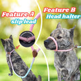 Load image into Gallery viewer, Slip lead for dog (Pink and Blue)
