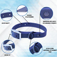 Load image into Gallery viewer, Dog collar (Blue)
