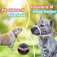 Load image into Gallery viewer, Slip Leads Dog Training Leash (Pink and Purple)
