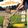 Load image into Gallery viewer, Slip Leads Dog Training Leash (Pink and Purple)
