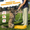 Load image into Gallery viewer, Slip lead for dog (Pink and Blue)
