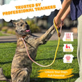 Load image into Gallery viewer, Slip Leads Dog Training Leash (Pink and Yellow)
