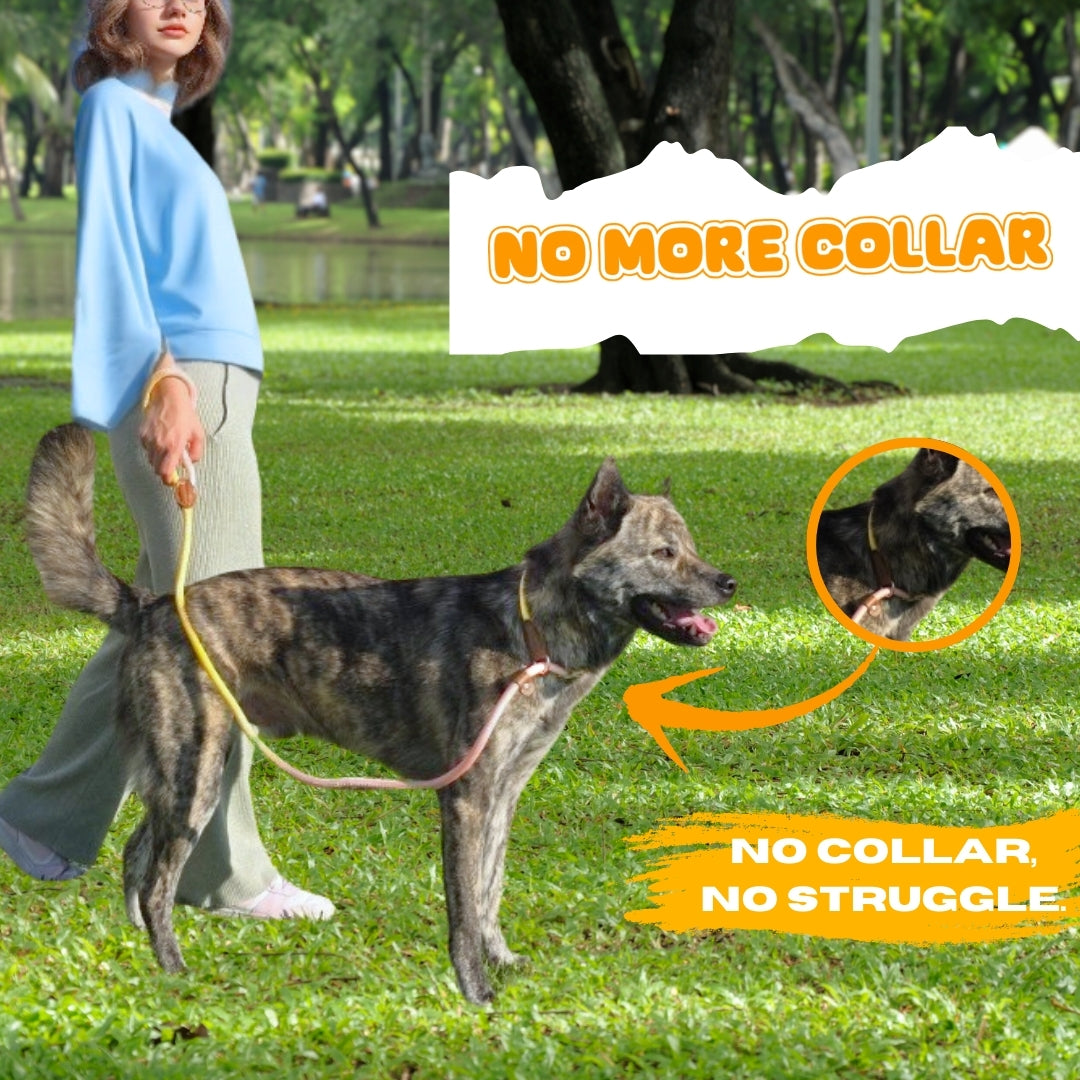 Slip Leads Dog Training Leash (Pink and Yellow)