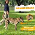 Load image into Gallery viewer, Slip Leads Dog Training Leash (Pink and Purple)
