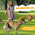 Load image into Gallery viewer, Slip Leads Dog Training Leash (Purple and Green)

