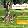 Load image into Gallery viewer, Slip lead for dog (Pink and Blue)
