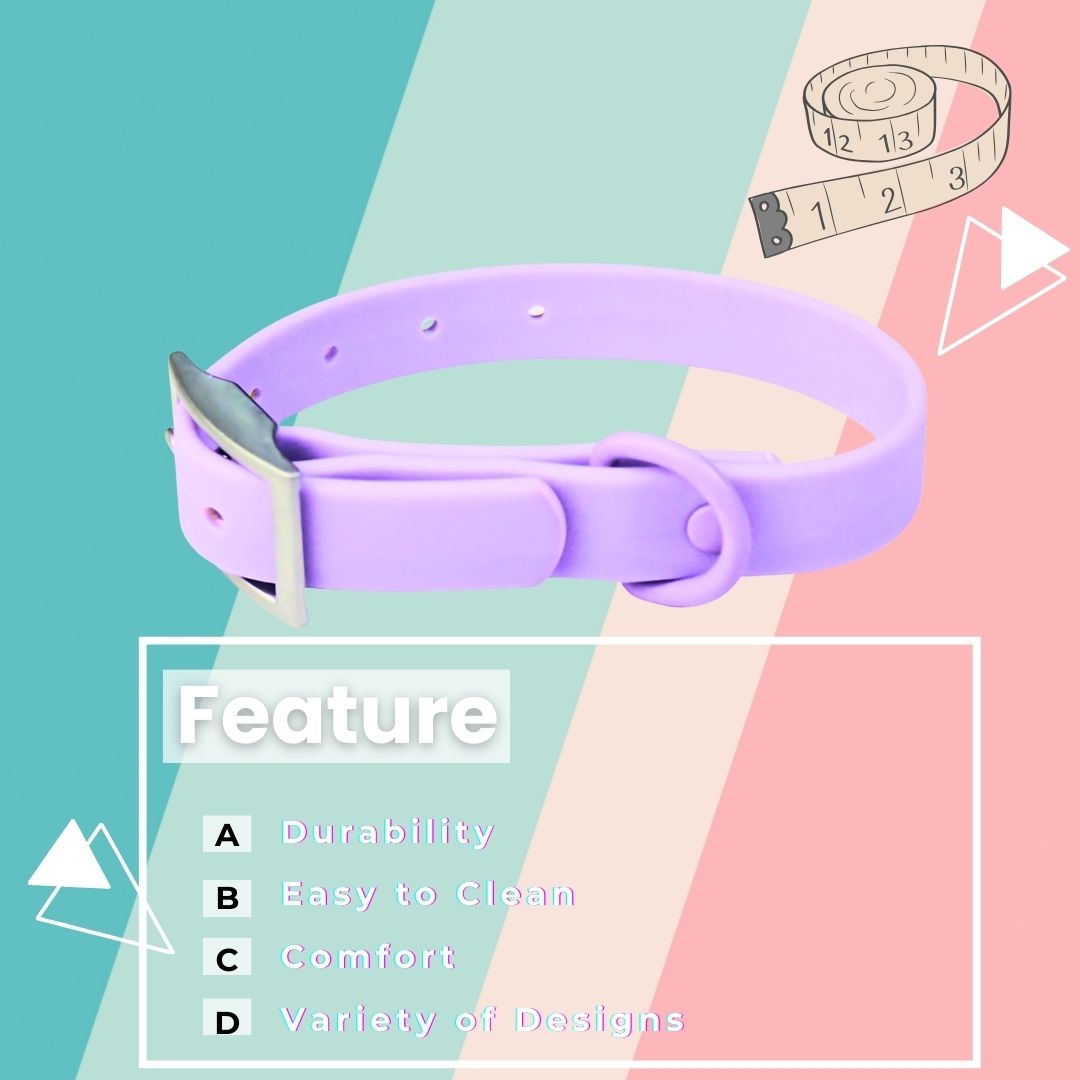 Dog collar (Purple)