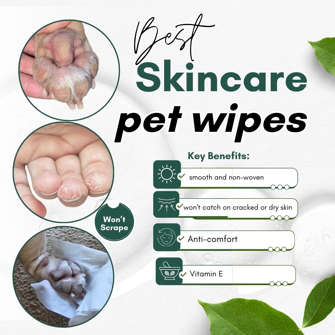 Pet Wipes 100 count for Dogs and Cats Grooming Wipes for Cleaning Bee N Buu