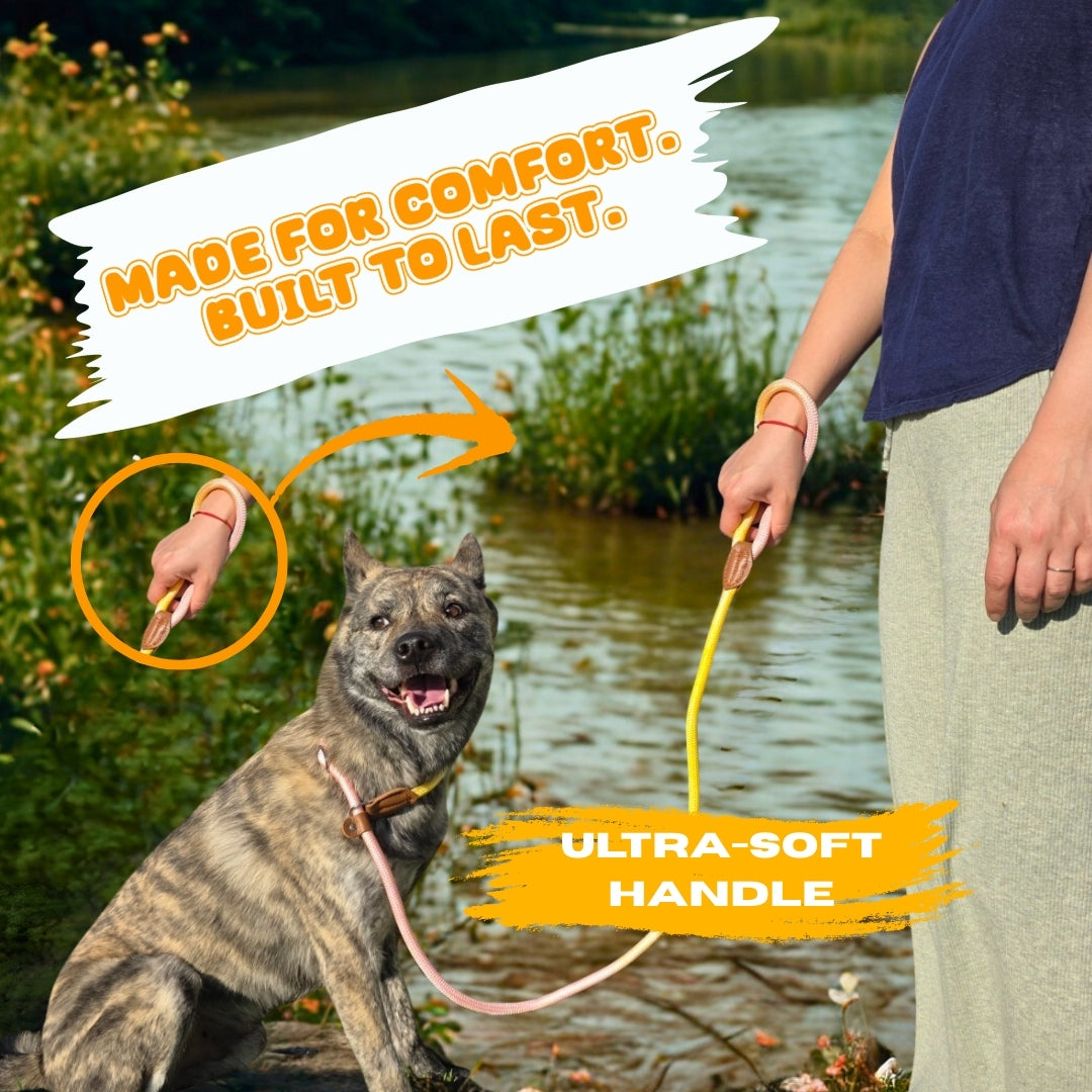 Slip Leads Dog Training Leash (Pink and Yellow)