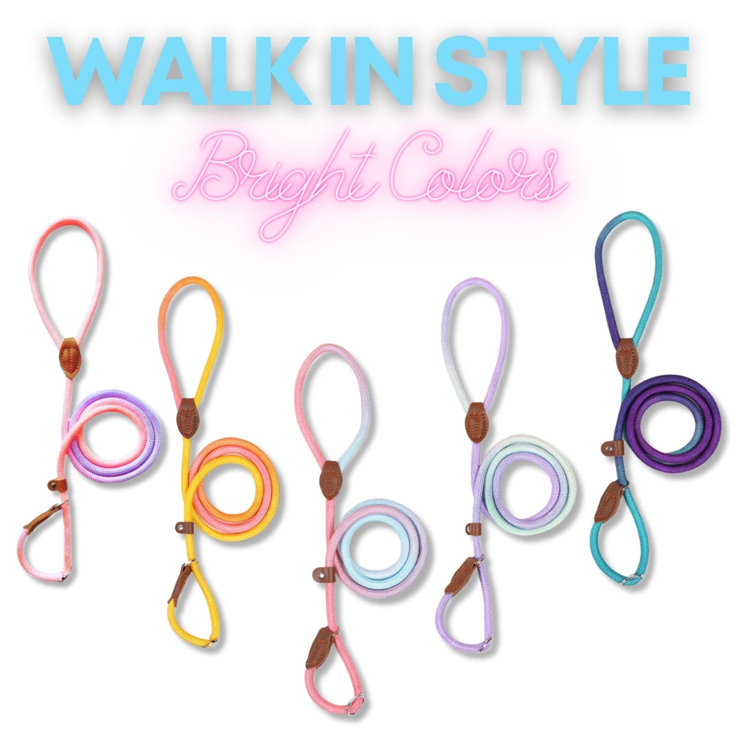 Slip Leads Dog Training Leash (Pink and Yellow)