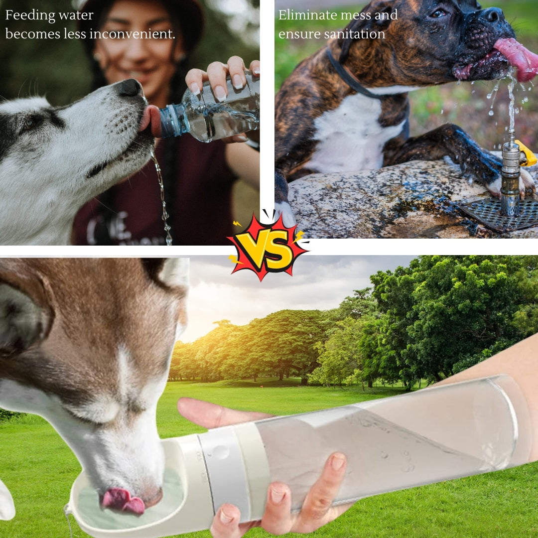 Portable Dog Water Bottle, Foldable Dog Water Dispenser Leak Proof & Food Grade Plastic Dog For Outdoor Travel hiking walking - Bee N Buu