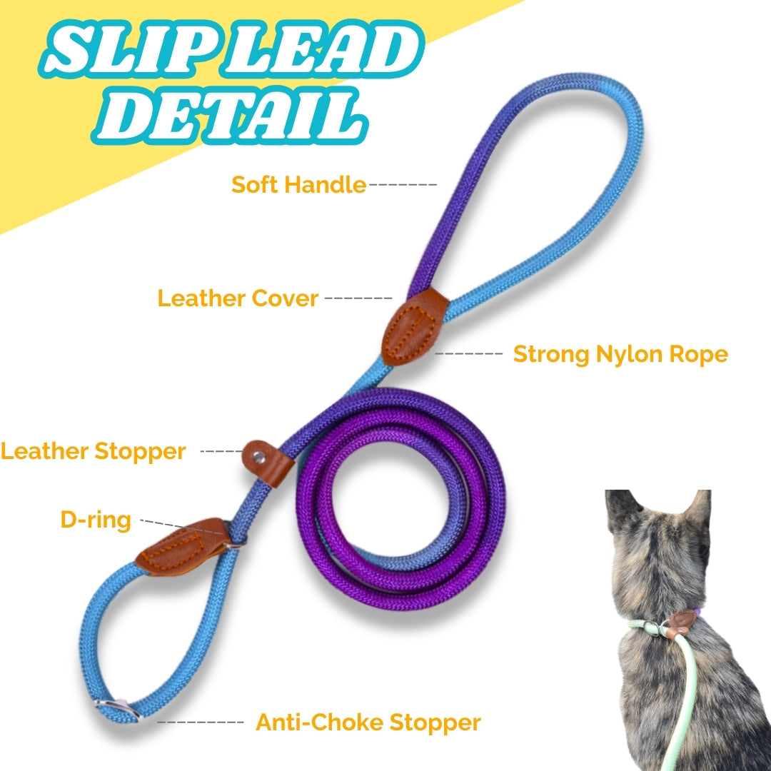 Slip Leads Dog Training Leash (Purple and Blue)