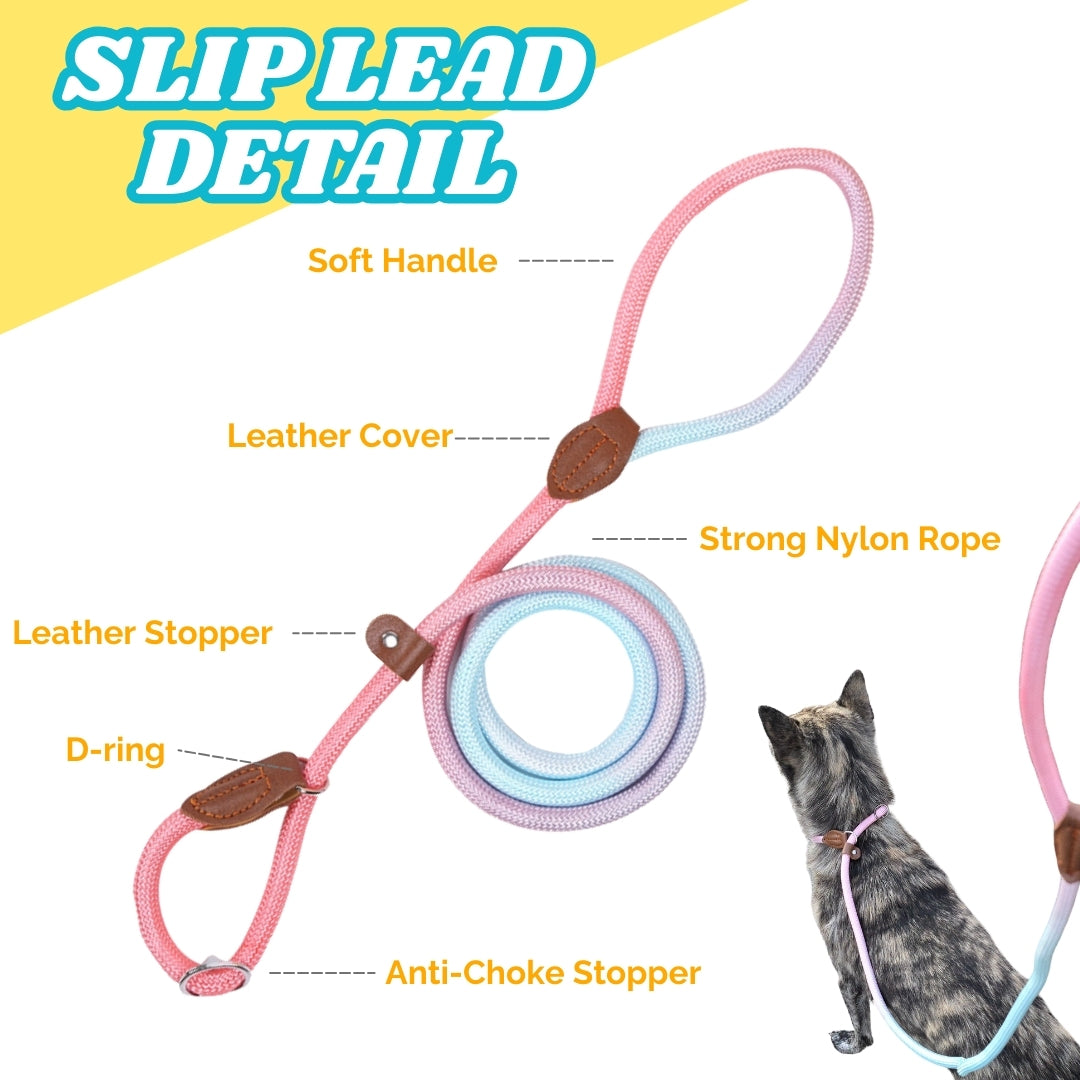 Slip lead for dog (Pink and Blue)