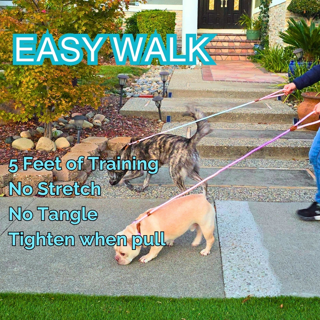 Slip Leads Dog Training Leash (Purple and Blue)