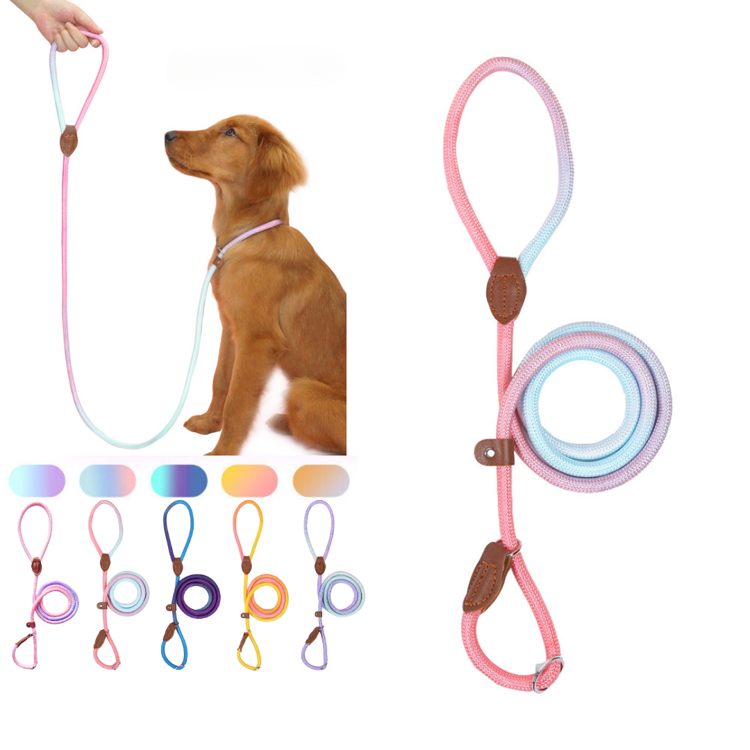 Slip lead (Pink & Blue)