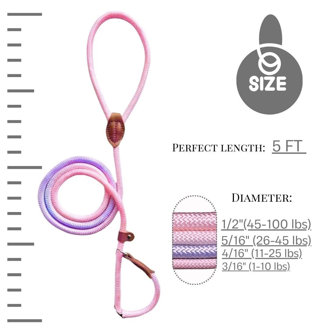 Slip lead (Pink and Purple)