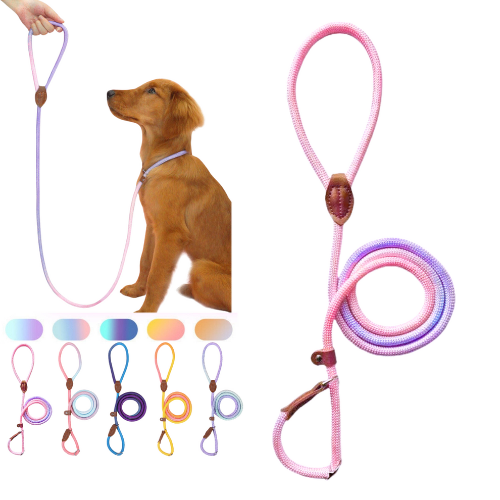 Bee N Buu slip lead leash