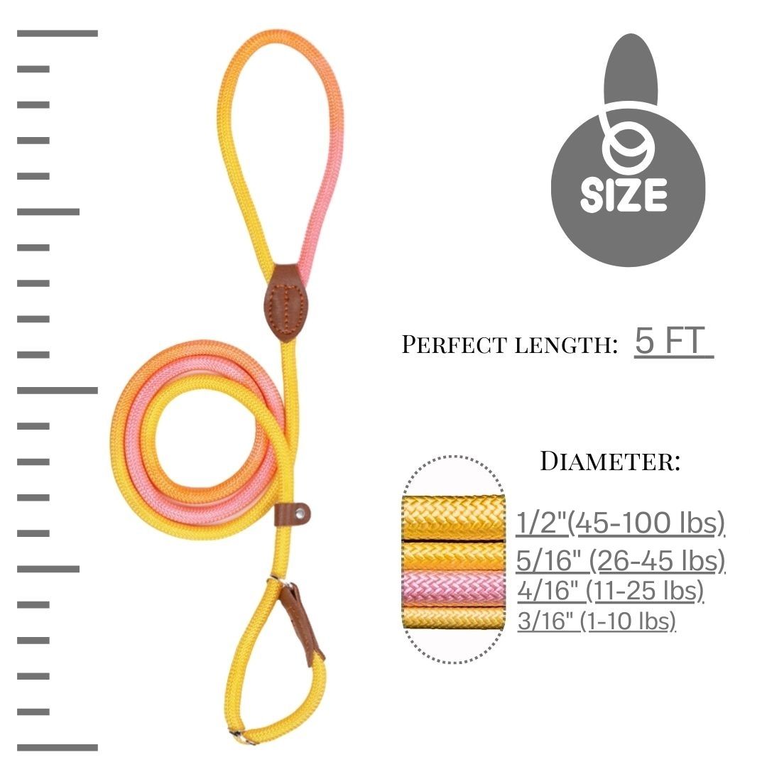 Slip Lead (Pink & Yellow)