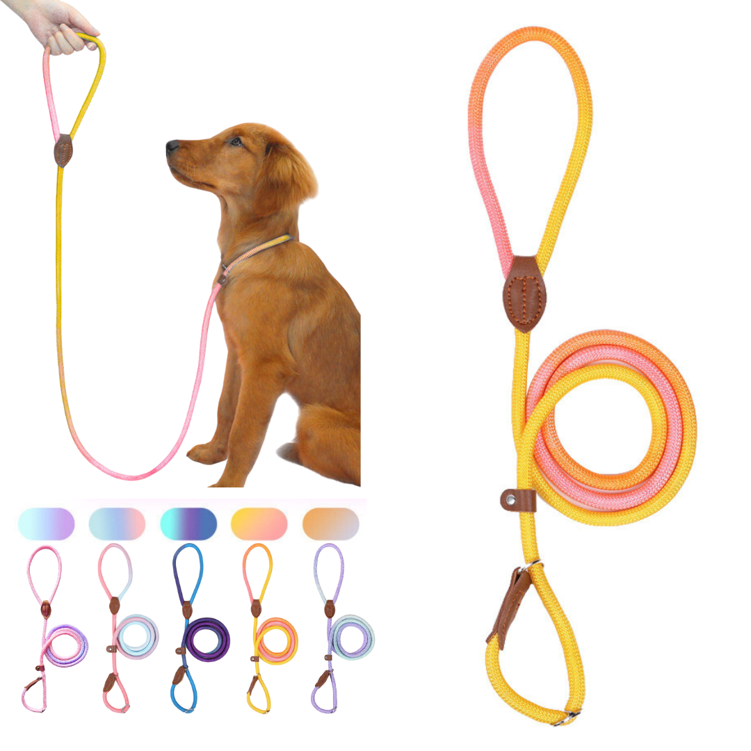 Slip Lead (Pink & Yellow)