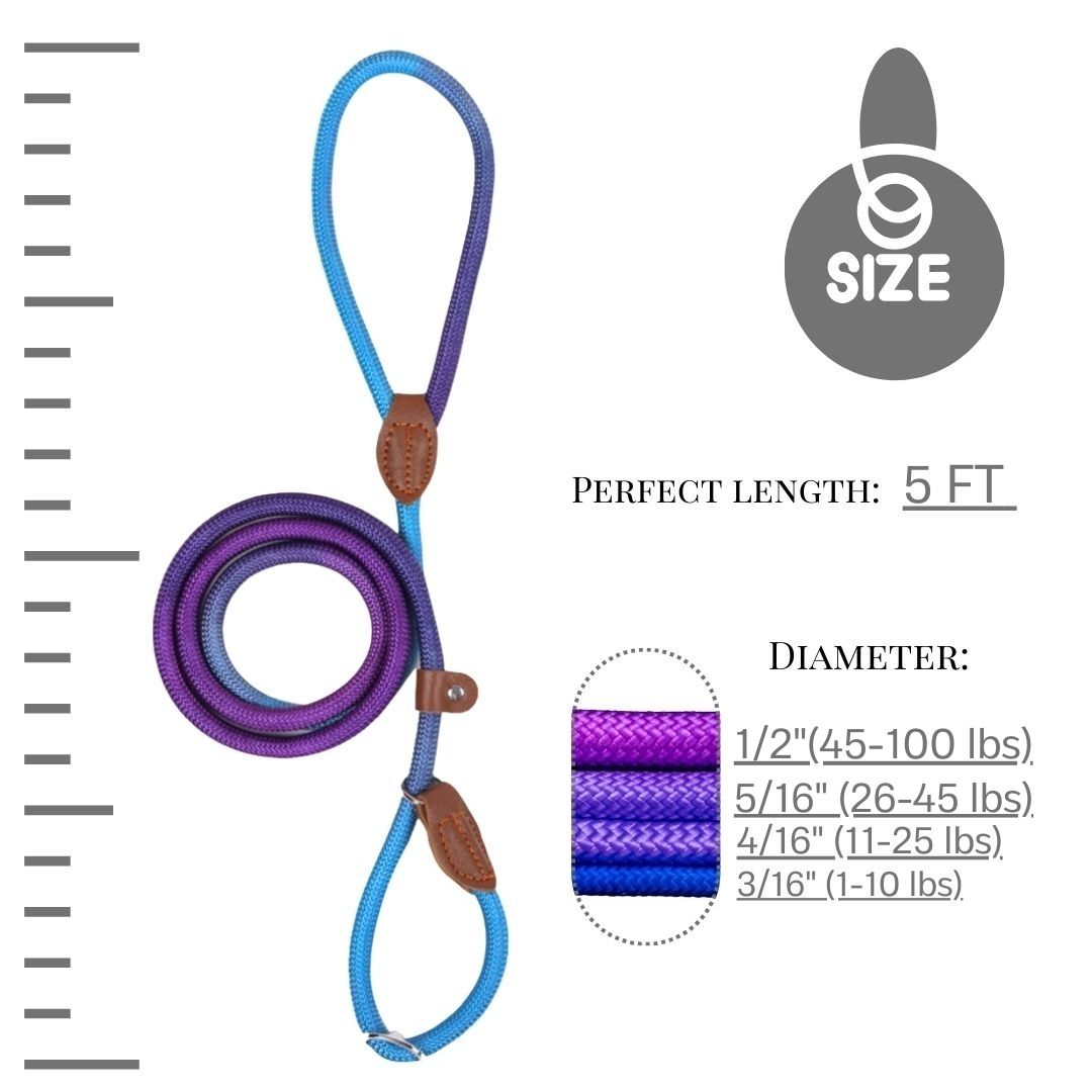 Slip Lead (Purple & Blue)