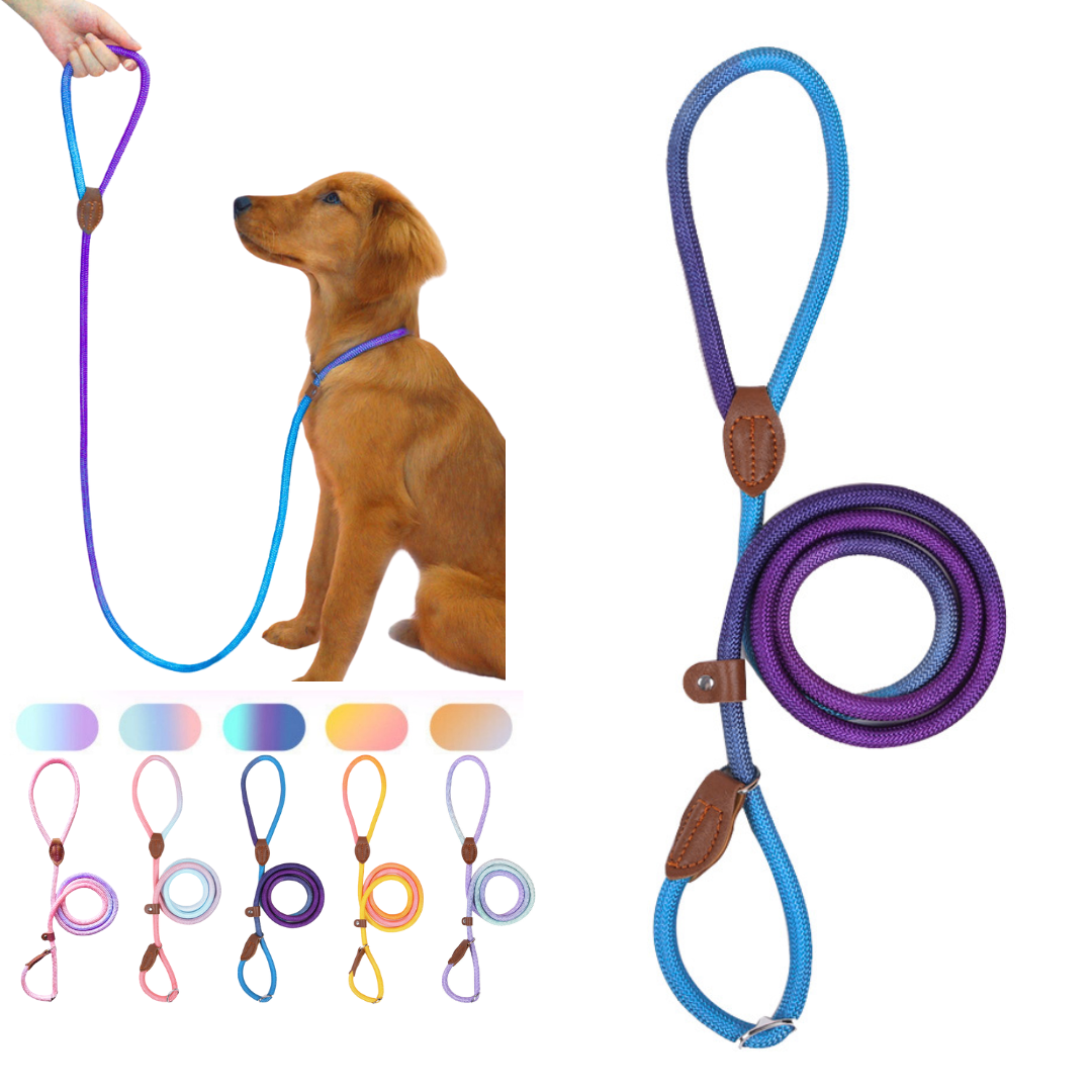 Slip Lead (Purple & Blue)