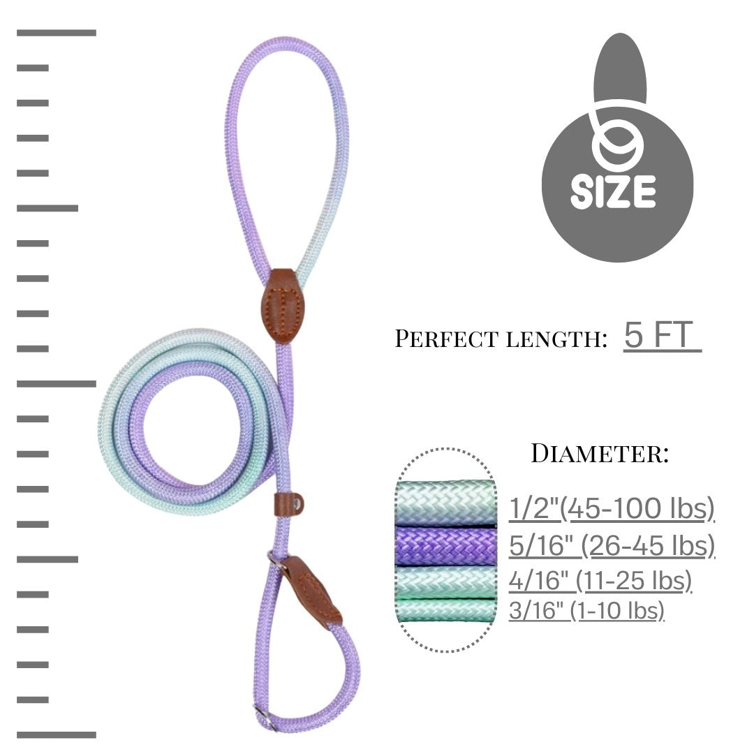 Slip lead (Purple & Green)