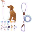 Load image into Gallery viewer, Slip Leads Dog Training Leash - Bee N BuuSlip lead (Purple & Green)
